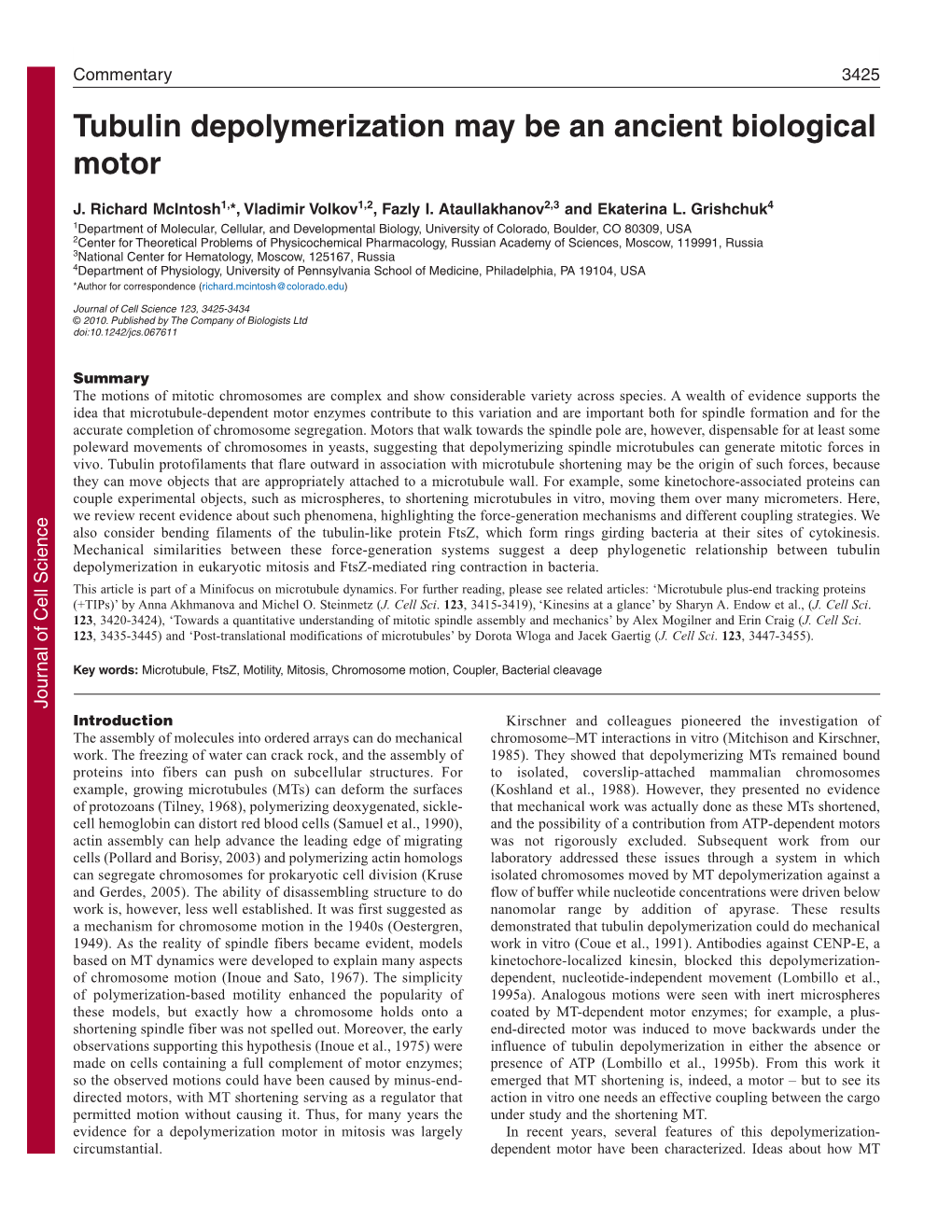 Tubulin Depolymerization May Be an Ancient Biological Motor