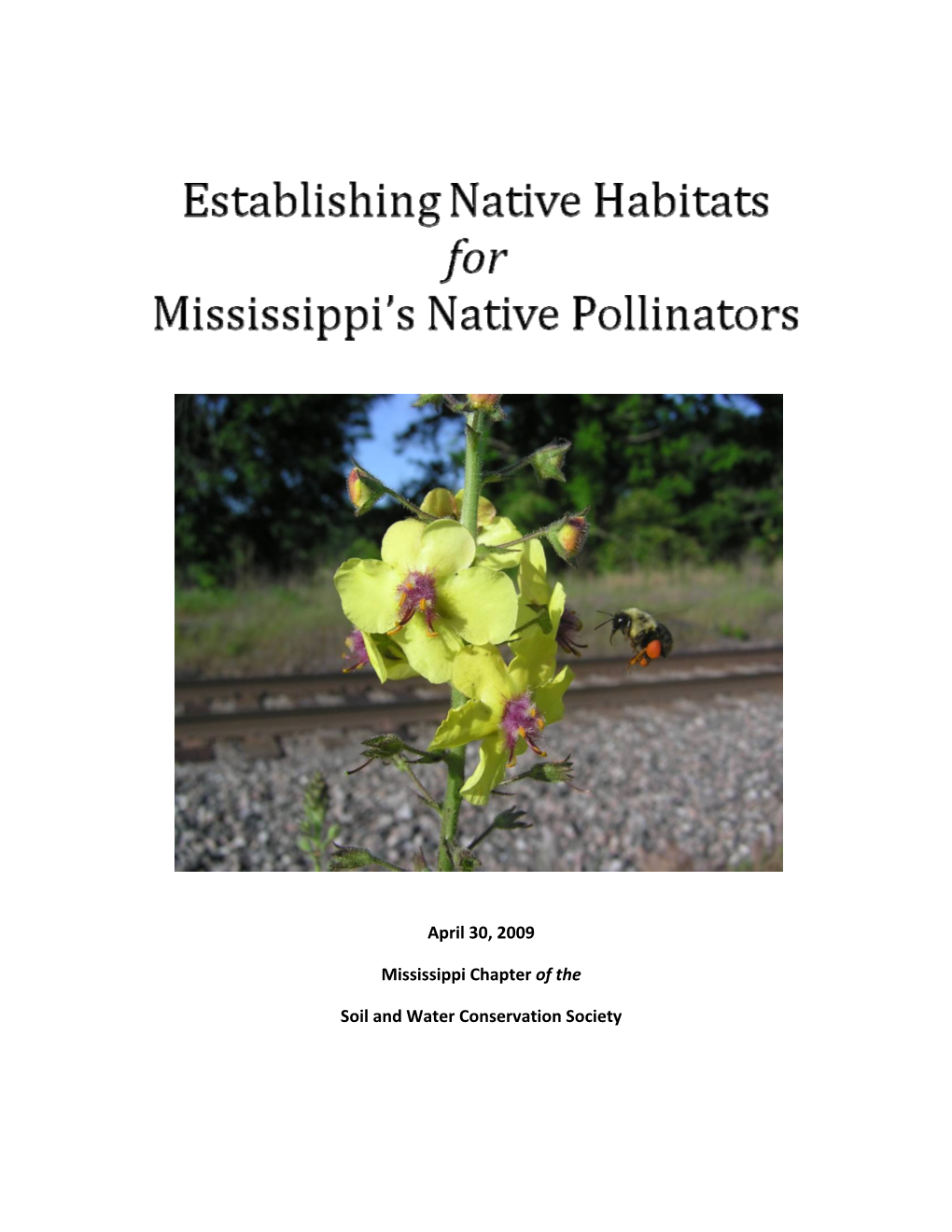 Establishing Native Habitats for Mississippi's Native Pollinators