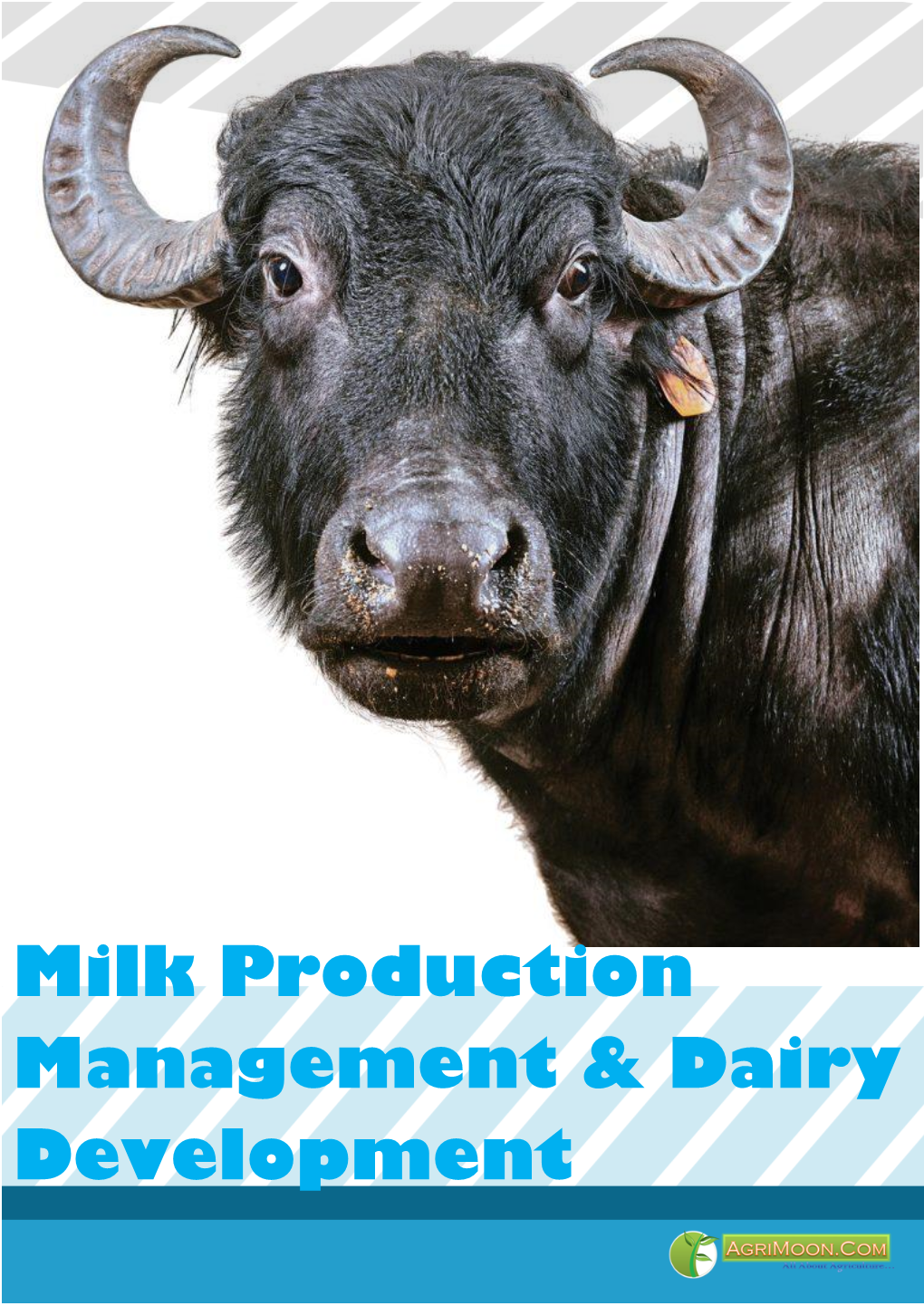 Milk Production Management & Dairy Development