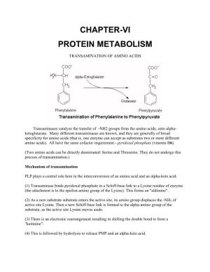 Chapter-Vi Protein Metabolism
