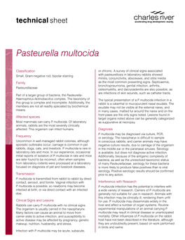 Pasteurella Multocida