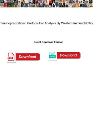 Immunoprecipitation Protocol for Analysis by Western Immunoblotting
