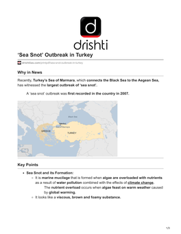 Sea Snot’ Outbreak in Turkey