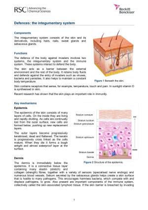 Defences: the Integumentary System