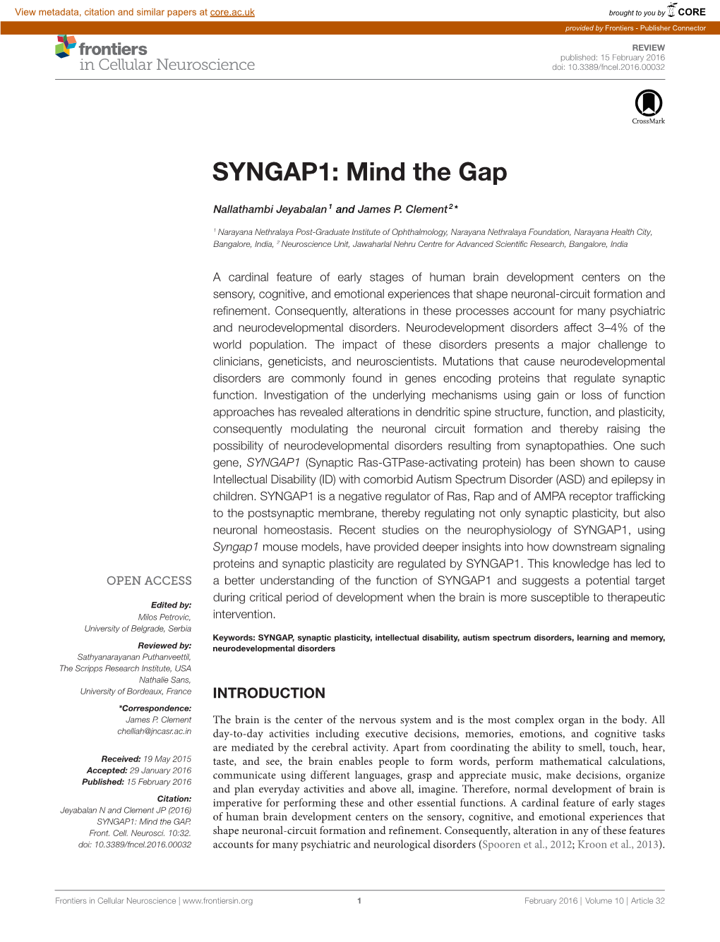 SYNGAP1: Mind the Gap