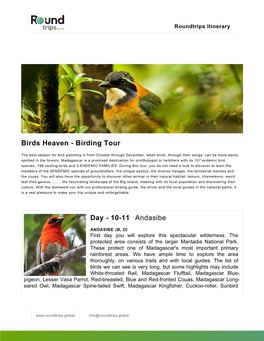 Birds Heaven - Birding Tour