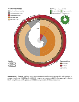 Snail Plot of the Acanthopleura Granulata Genome Assembly