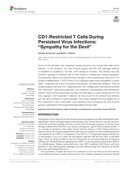 CD1-Restricted T Cells During Persistent Virus Infections: “Sympathy for the Devil”