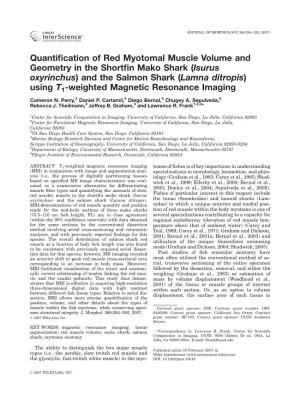 Quantification of Red Myotomal Muscle Volume and Geometry in the Shortfin Mako Shark (Isurus Oxyrinchus) and the Salmon Shark (L