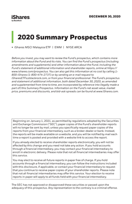 2020 Summary Prospectus