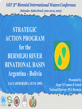 STRATEGIC ACTION PROGRAM for the BERMEJO RIVER BINATIONAL