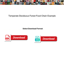 Temperate Deciduous Forest Food Chain Example