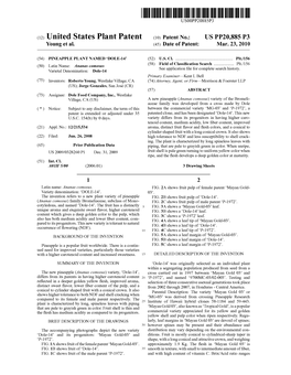 (12) United States Plant Patent (10) Patent No.: US PP20,885 P3 Young Et Al