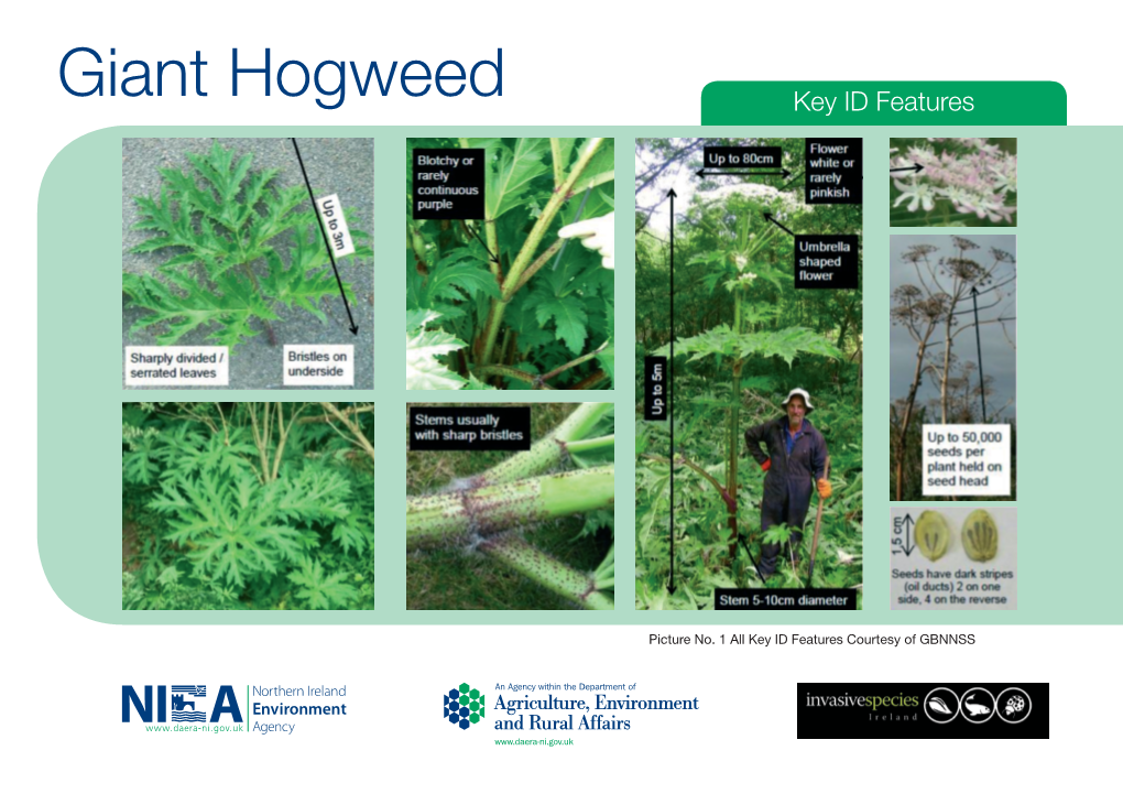 Invasive Species ID Sheets