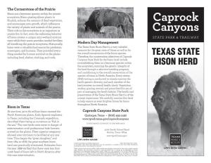 Texas State Bison Herd Is a Very Valuable Scavengers, and Humans