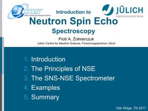 Neutron Spin Echo Spectroscopy Piotr A