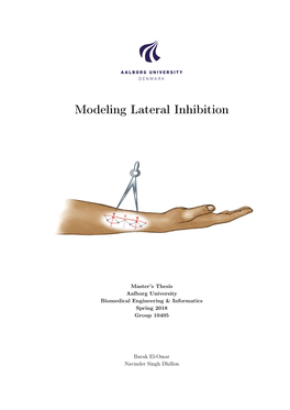Modeling Lateral Inhibition