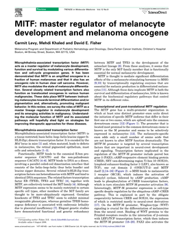 MITF: Master Regulator of Melanocyte Development and Melanoma Oncogene