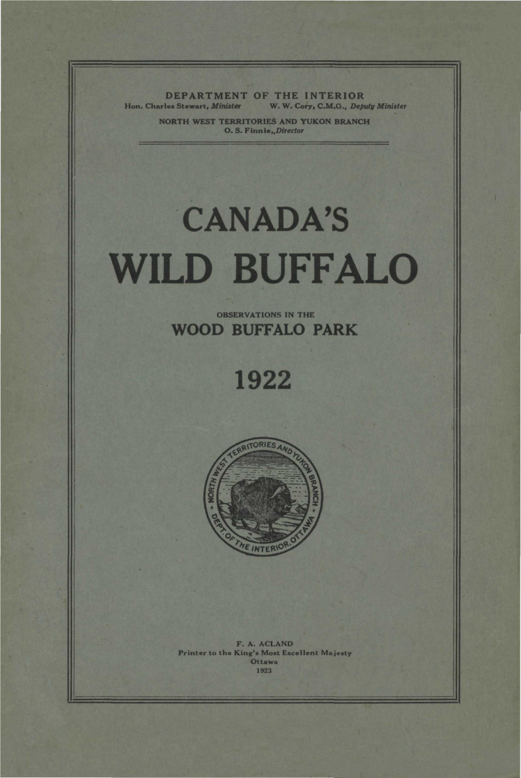 Wild Buffalo