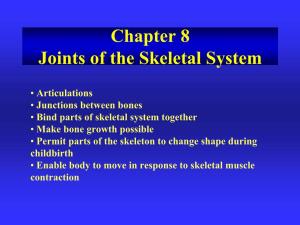Synovial Joints • Most Complex • Allow Free Movement