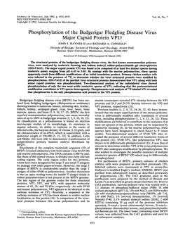 Phosphorylation of the Budgerigar Fledgling Disease Virus Major Capsid Protein Vp1t