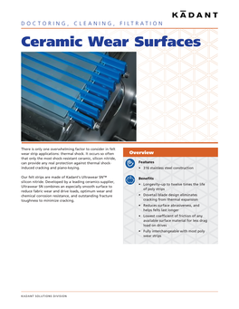 Ceramic Wear Surfaces