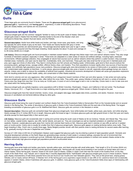 Gulls: Wildlife Notebook Series