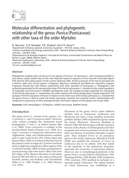 Molecular Differentiation and Phylogenetic Relationship of the Genus Punica (Punicaceae) with Other Taxa of the Order Myrtales