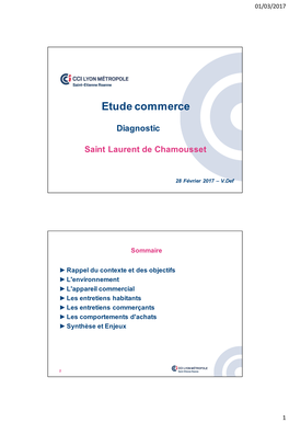 Du Schéma De Développement Commercial Aux Nouveaux Enjeux D'implantation Dans La Loire