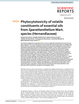 Phytocytotoxicity of Volatile Constituents of Essential Oils from Sparattanthelium Mart
