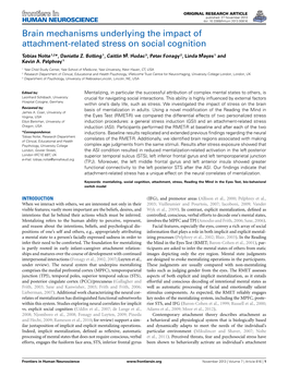 Brain Mechanisms Underlying the Impact of Attachment-Related Stress on Social Cognition