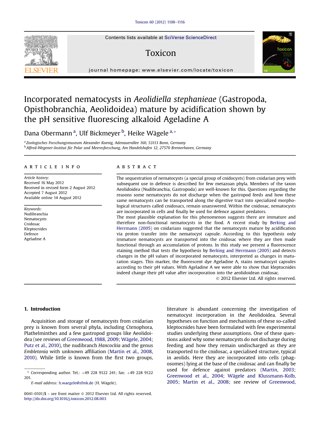 Incorporated Nematocysts in Aeolidiella