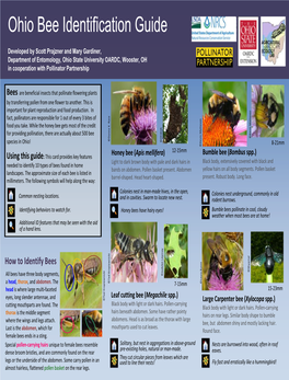 Ohio Bee Guide