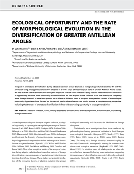 Ecological Opportunity and the Rate of Morphological Evolution in the Diversification of Greater Antillean Anoles