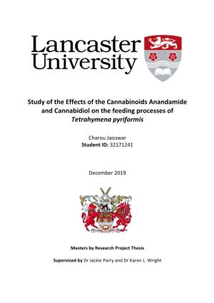 Study of the Effects of the Cannabinoids Anandamide and Cannabidiol on the Feeding Processes of Tetrahymena Pyriformis