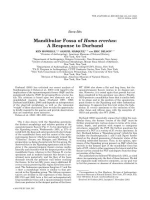 Mandibular Fossa of Homo Erectus