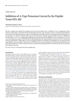 Inhibition of A-Type Potassium Current by the Peptide Toxin SNX-482