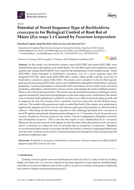 Potential of Novel Sequence Type of Burkholderia Cenocepacia for Biological Control of Root Rot of Maize (Zea Mays L.) Caused by Fusarium Temperatum