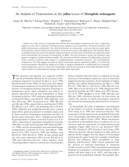 An Analysis of Transvection at the Yellow Locus of Drosophila Melanogaster