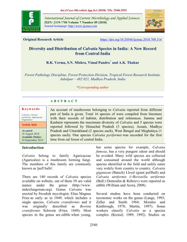 Diversity and Distribution of Calvatia Species in India: a New Record from Central India