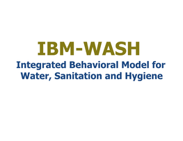IBM-WASH Intro Online Supplement
