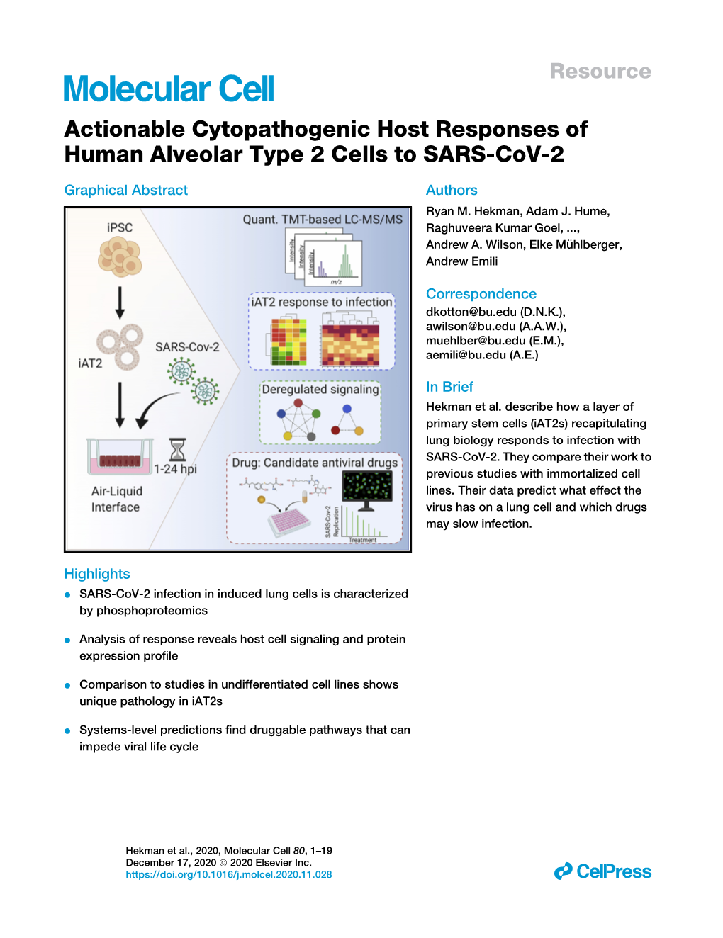 Actionable Cytopathogenic Host Responses of Human Alveolar Type 2 Cells to SARS-Cov-2