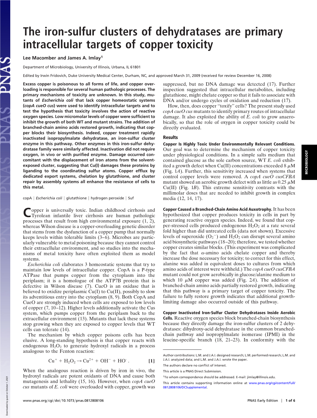 The Iron-Sulfur Clusters of Dehydratases Are Primary Intracellular Targets of Copper Toxicity