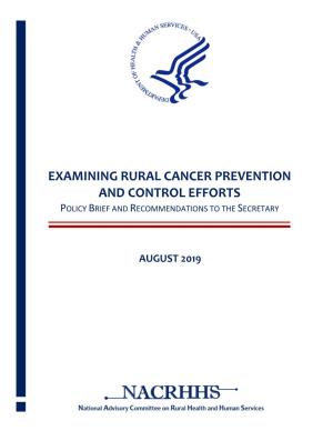Examining Rural Cancer Prevention and Control Efforts Policy Brief and Recommendations to the Secretary