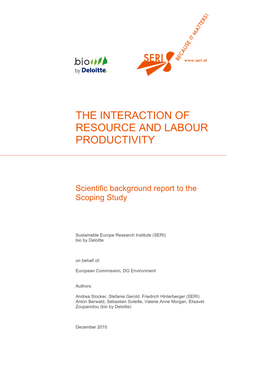 The Interaction of Resource and Labour Productivity