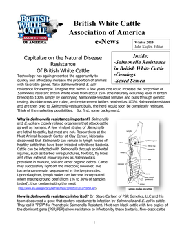 Cowdogs -Sexed Semen Capitalize on the Natural Disease Resistance