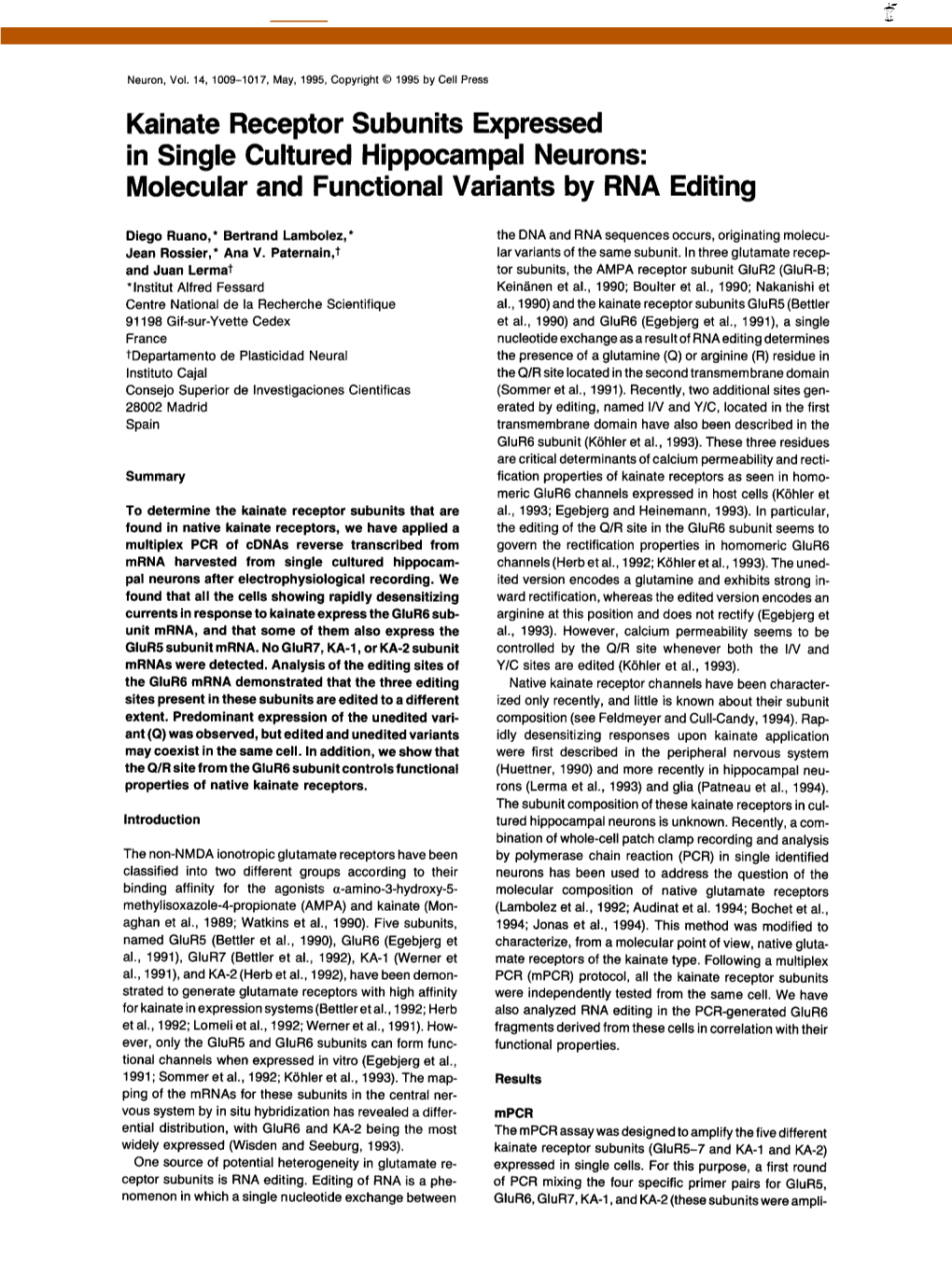 Kainate Receptor Subunits Expressed in Single Cultured Hippocampal Neurons: Molecular and Functional Variants by RNA Editing