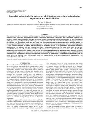 Control of Swimming in the Hydrozoan Jellyfish Aequorea Victoria: Subumbrellar Organization and Local Inhibition