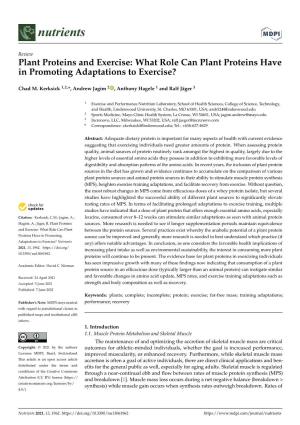 Plant Proteins and Exercise: What Role Can Plant Proteins Have in Promoting Adaptations to Exercise?