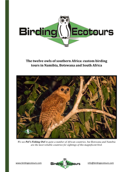 Owls of Southern Africa: Custom Birding Tours in Namibia, Botswana and South Africa